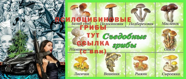эйфоретик Вязники