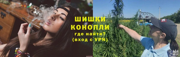 круглые Вяземский