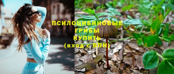 эйфоретик Вязники